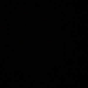 Meet your Posher, Maggie